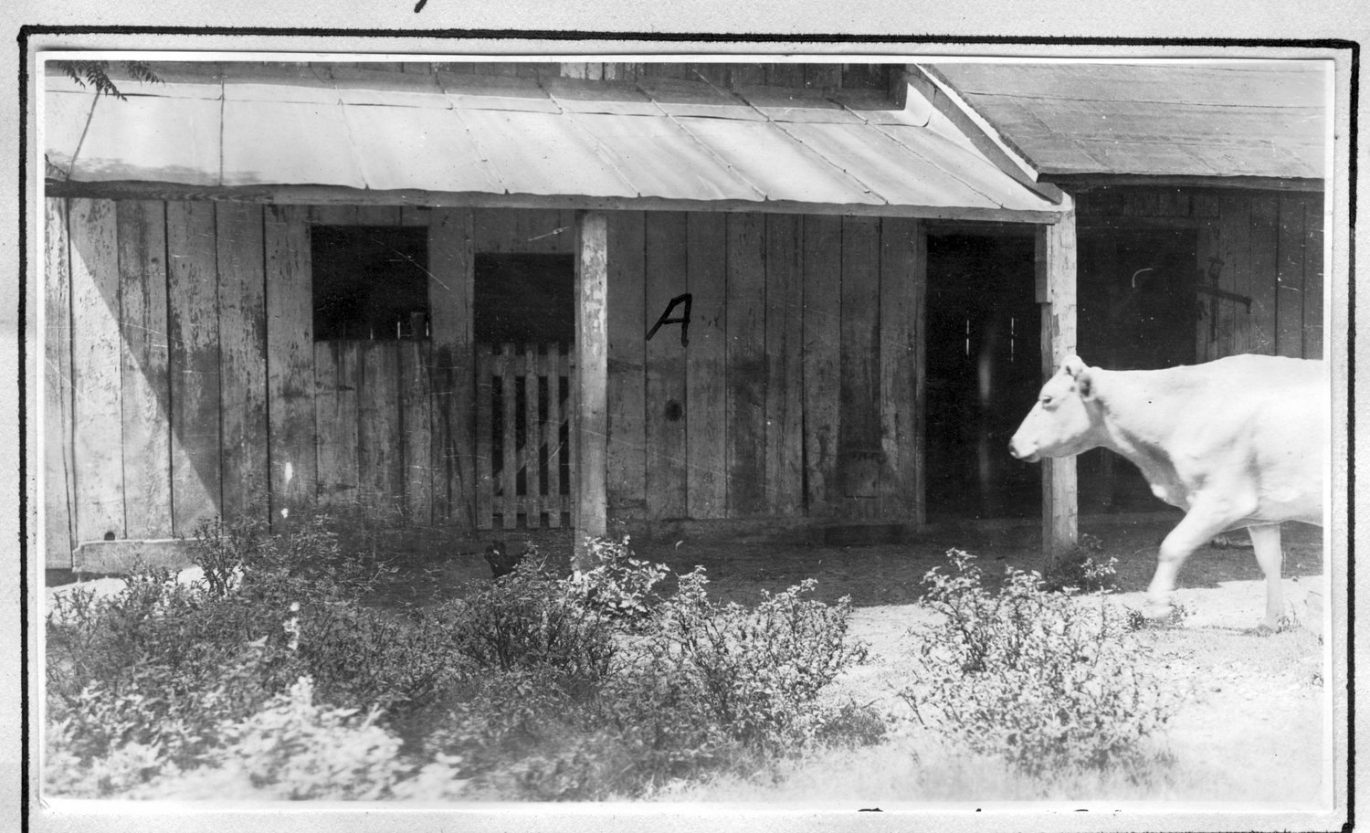 125~W. W. Powell Barn.jpg